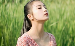 车文详细描写文字